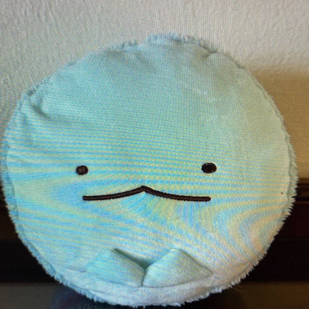 Round Plush Stuffed Animal Pillow in Light Aqua